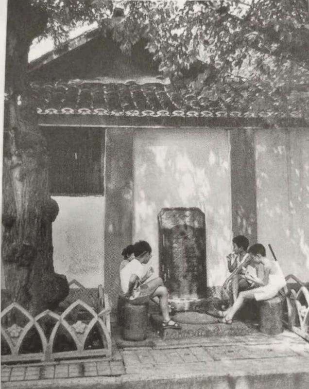 圖片1.png