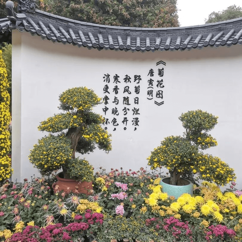 圖片18.png