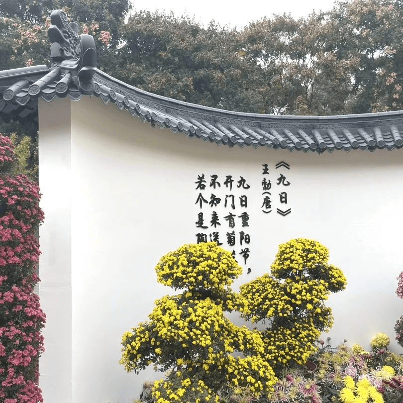 圖片19.png