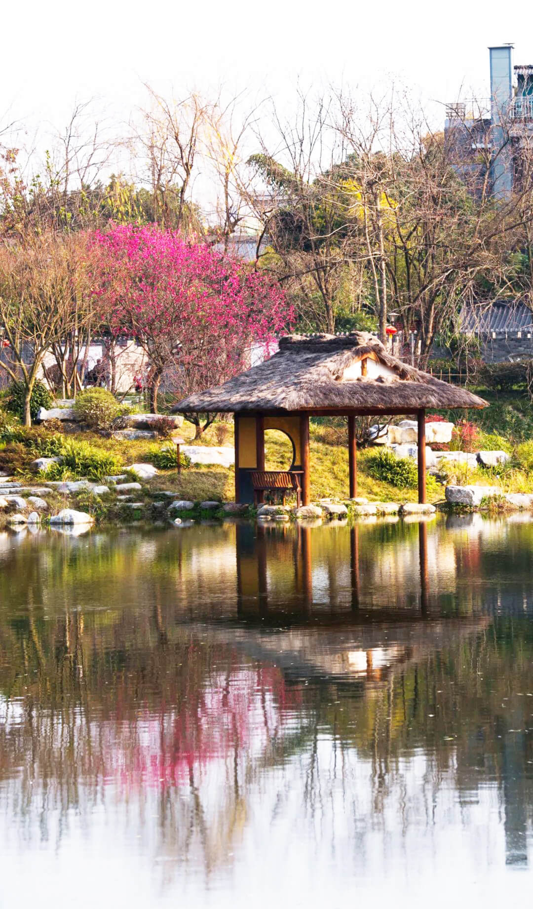 浣花溪公園梅景.jpg