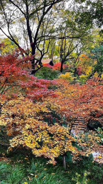 人民公園一角.jpg