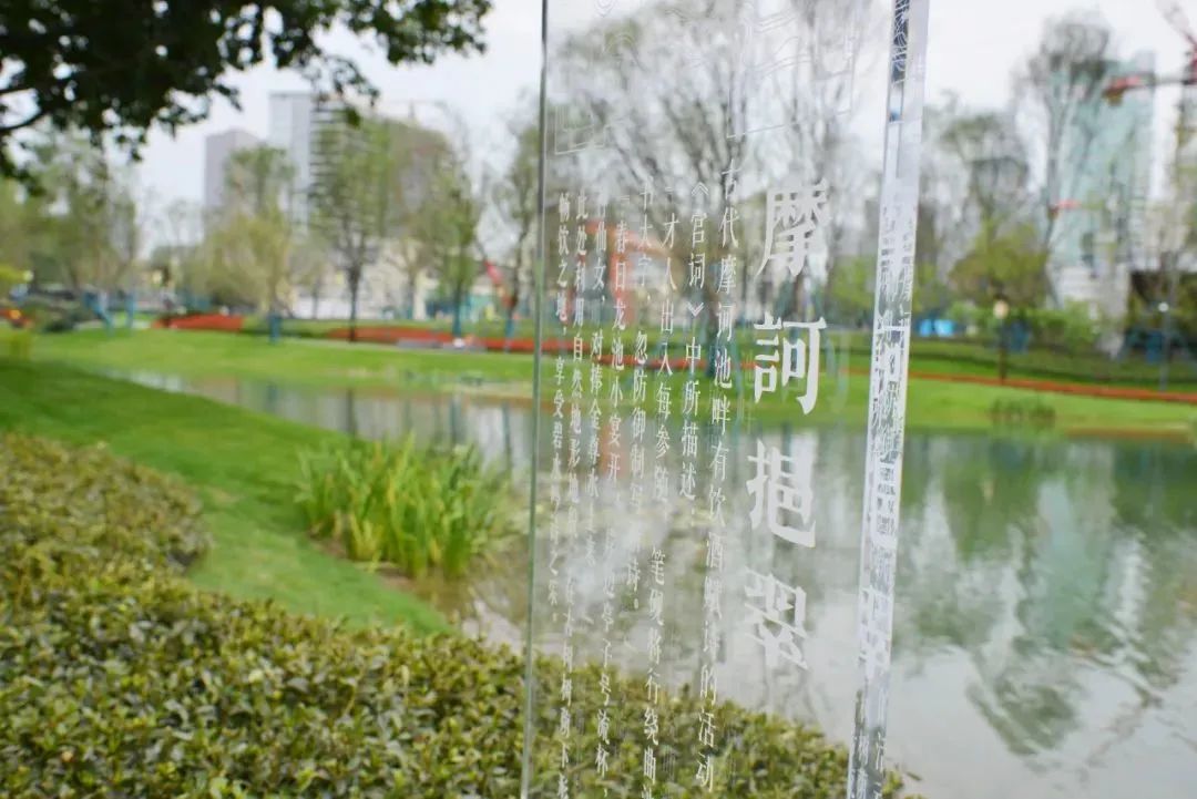摩訶池一角.jpg