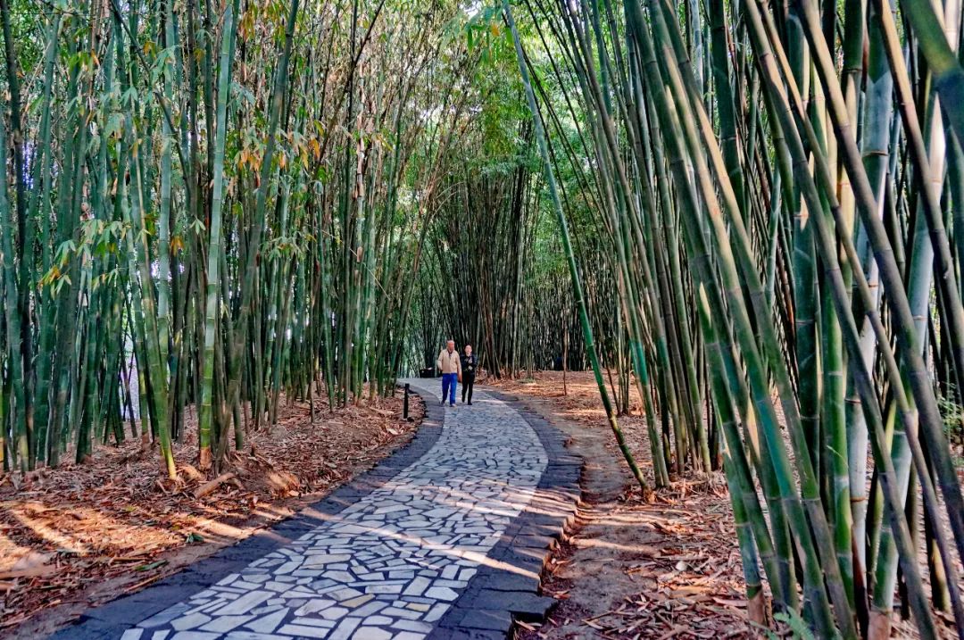 浣花溪公園.jpg