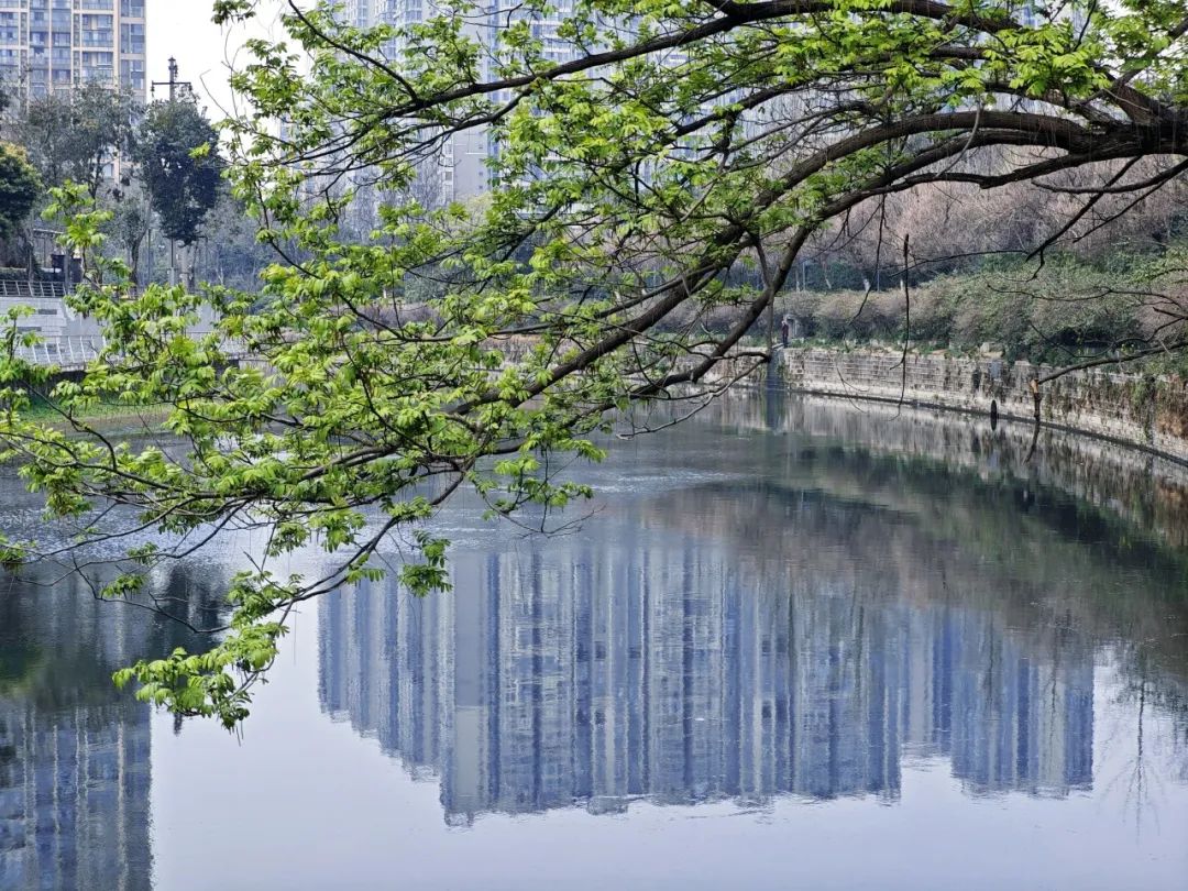 清水河光華段.jpg