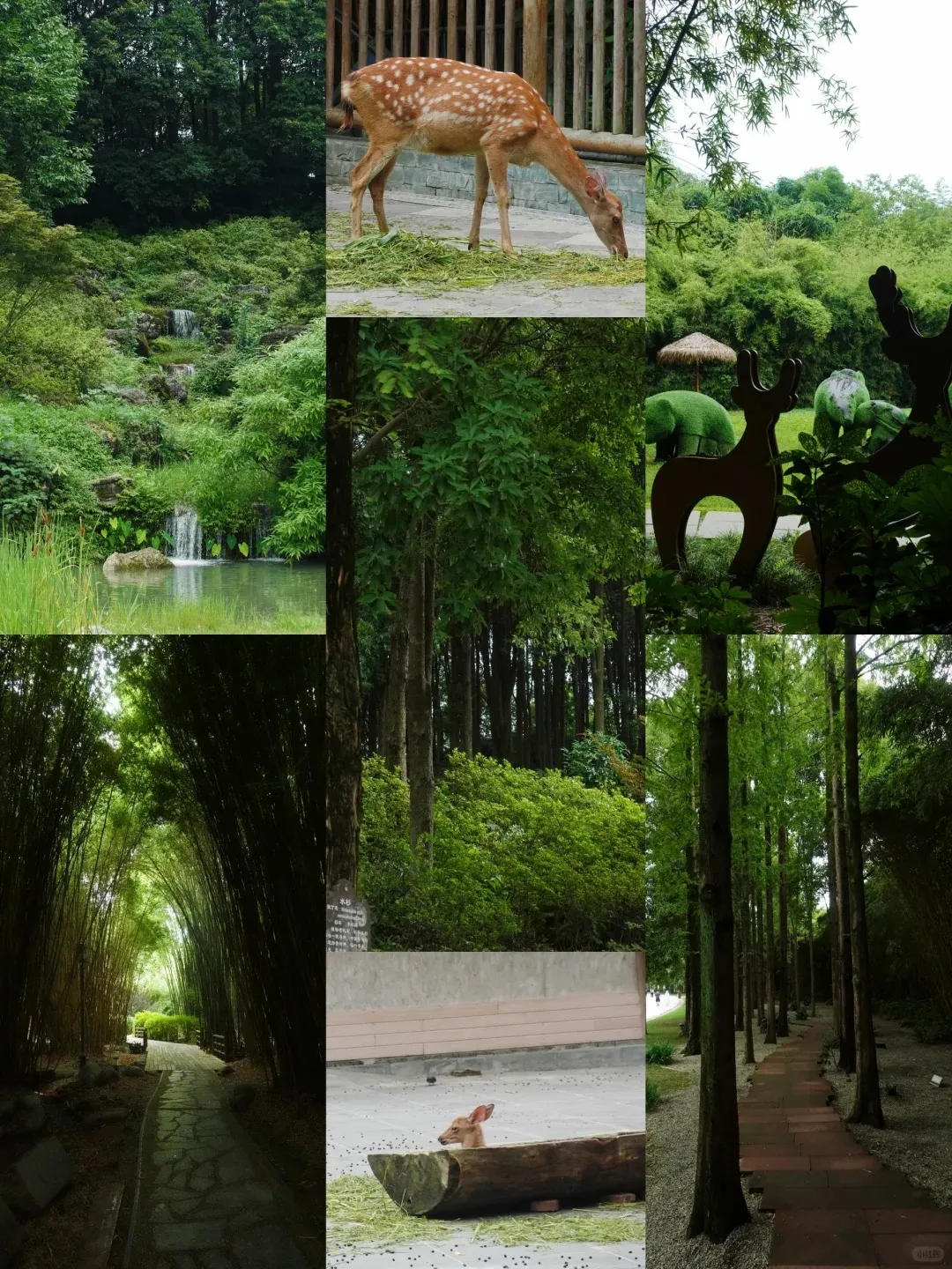 image013.png